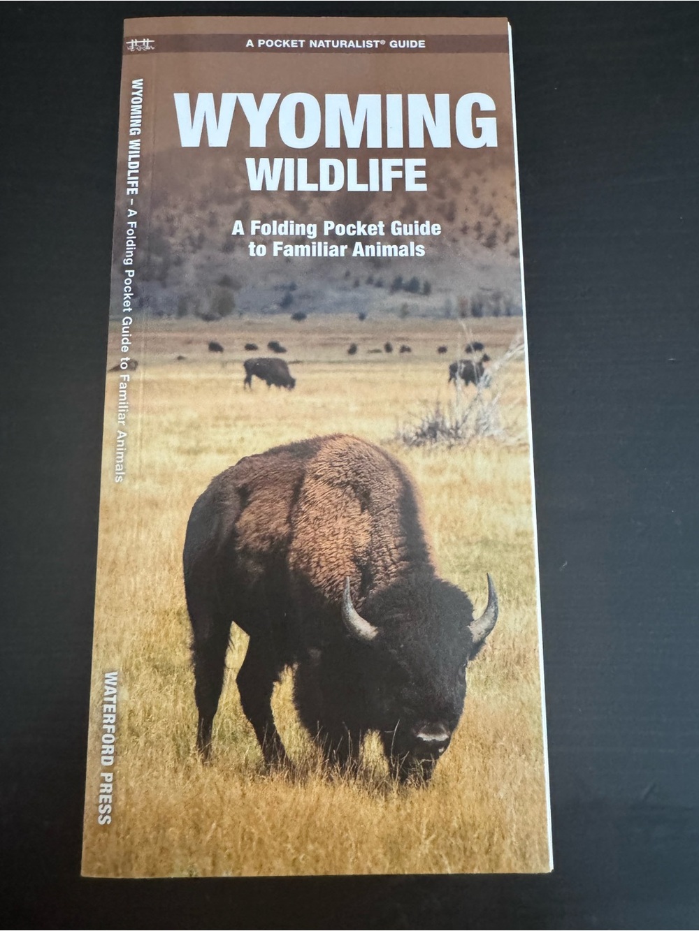 Waterford Wyoming Wildlife Map Guide – Blue, Red, Yellow & Green